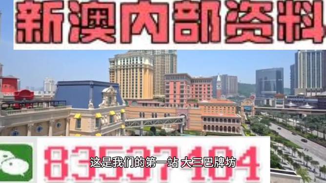 2024新澳正版免费资料大全｜精选解释解析落实