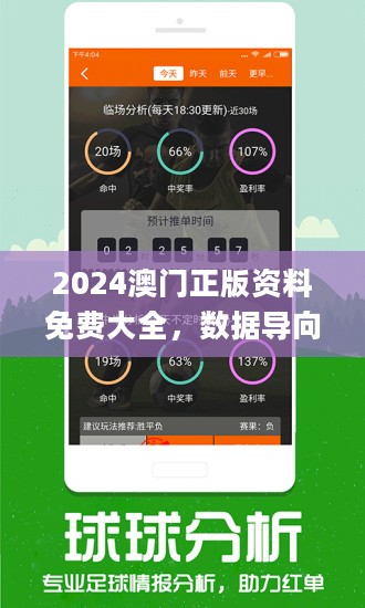 2024澳门精准正版资料｜精选解释解析落实