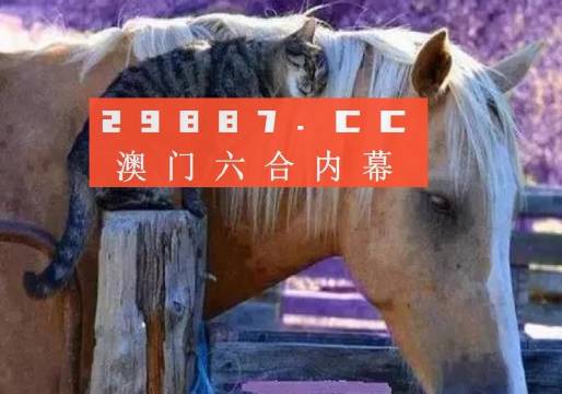 20204澳门资料正版大全｜精选解释解析落实